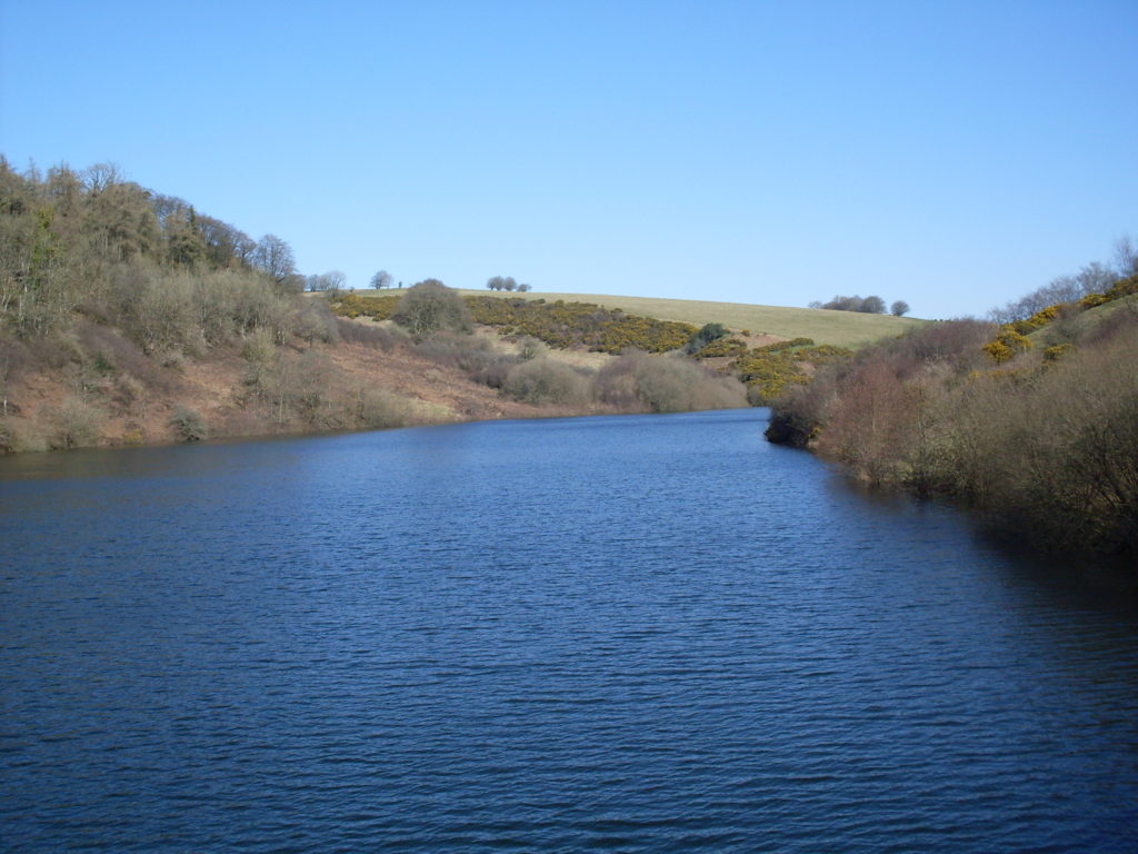 Along the way (Wimbleball)...