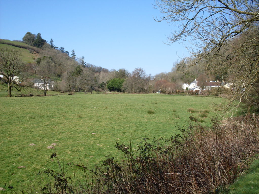 Along the way (Exe valley)...