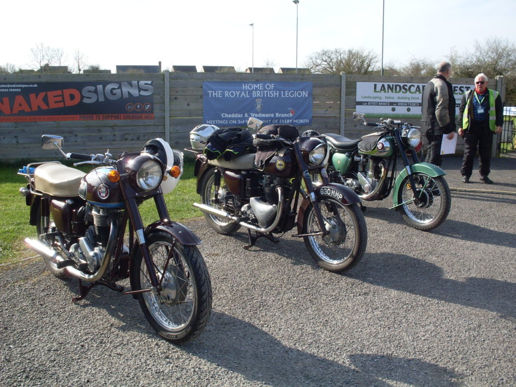 Brace of Ariels , 'against green'!