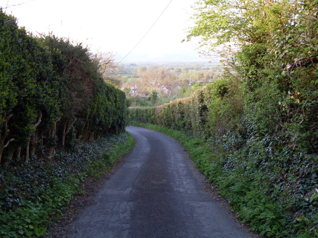 Mutton Lane - view down (to Wedmore) from just before the last bend.