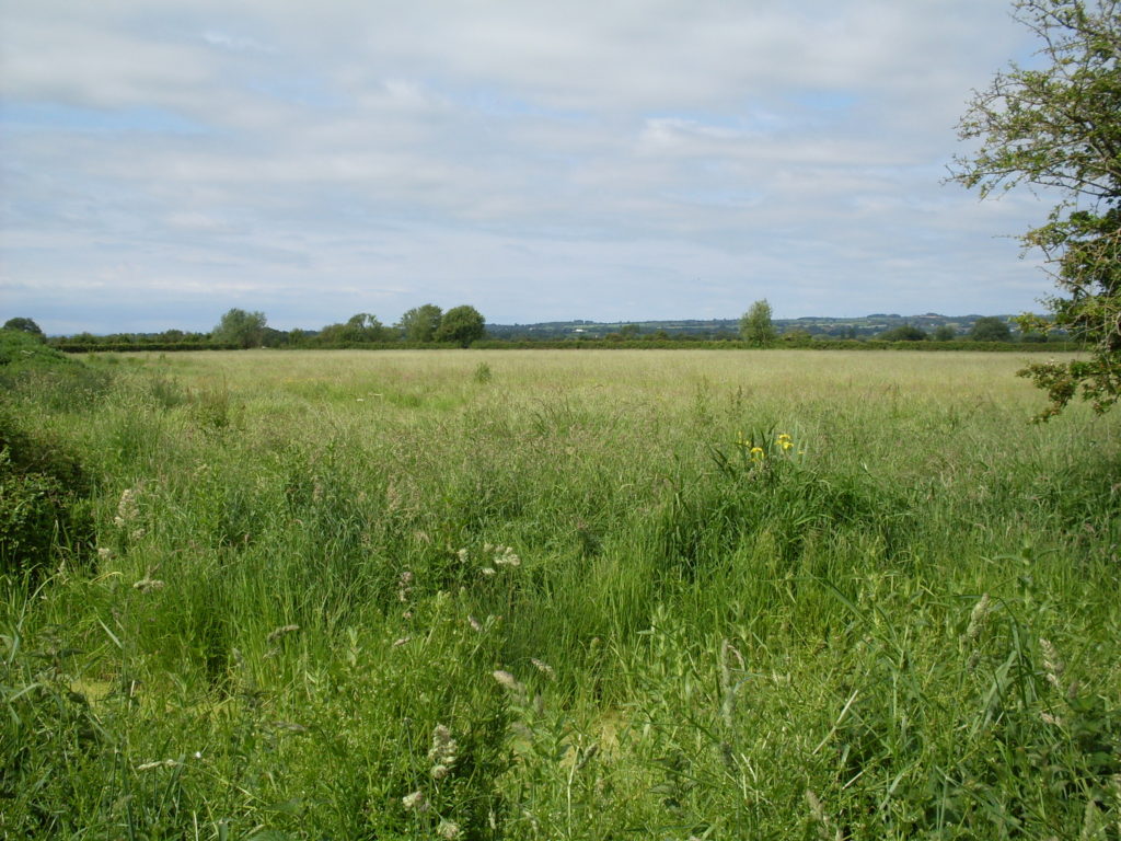 ...and low roads (Levels)