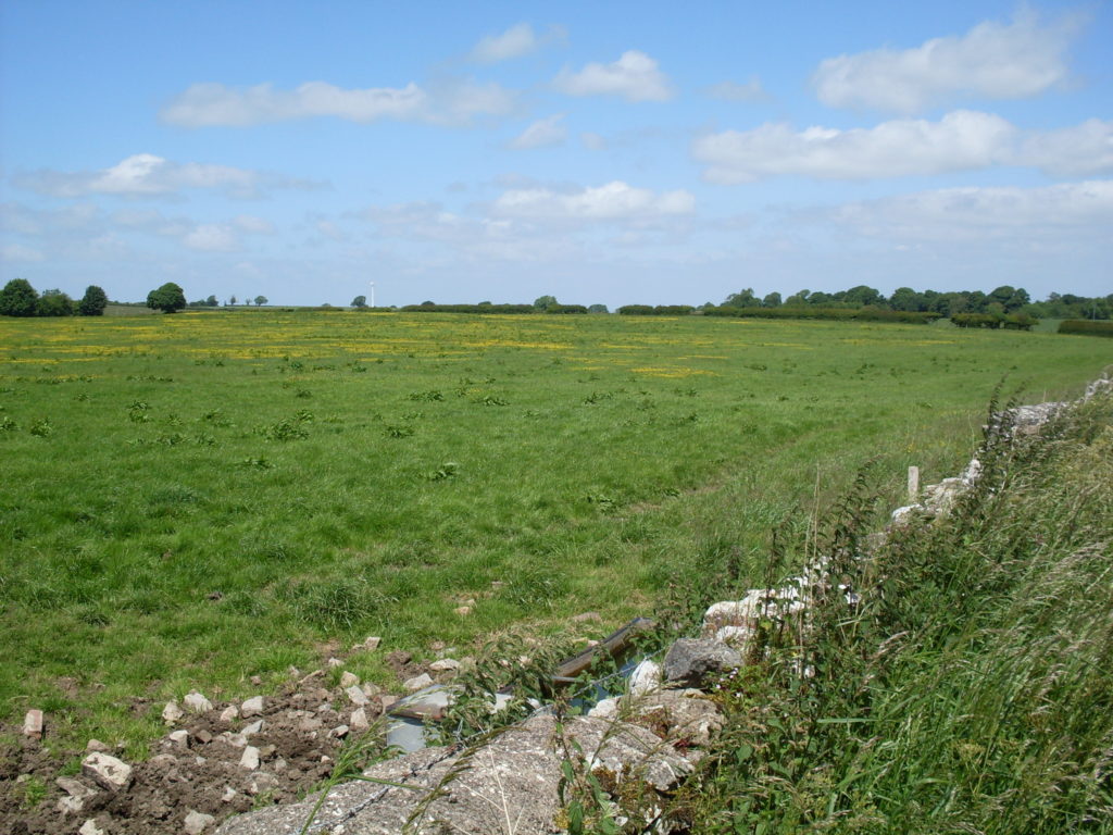 Still plenty of colour in the fields (and the skies!)