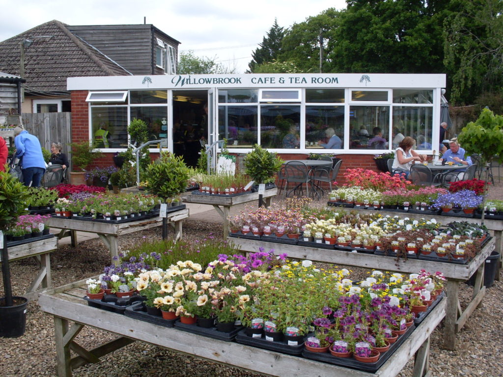 Flowery tea-rooms!