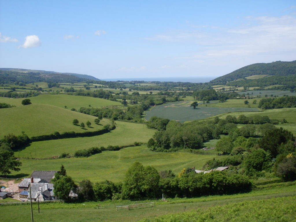 View-tastic!