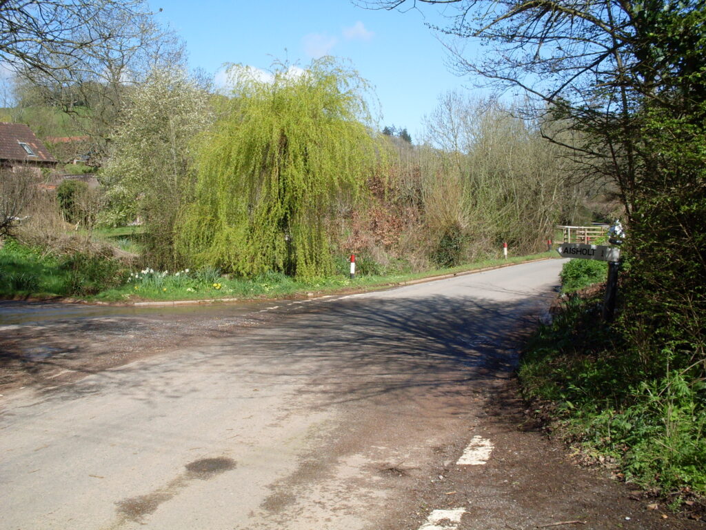 Springtime colours
