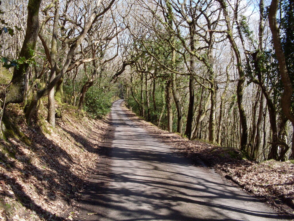 Back in the Quantocks again..