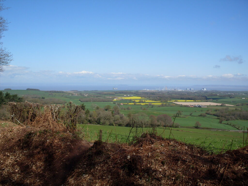 Hinkley and the estuary enjoying the sunshine too!