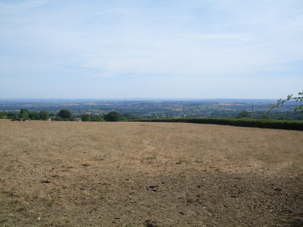 A view down across a sloping field with a group of cows in the distance at one side and a patchwork of fields, trees and hedges receding to distant hills, all under a hazy blue sky.